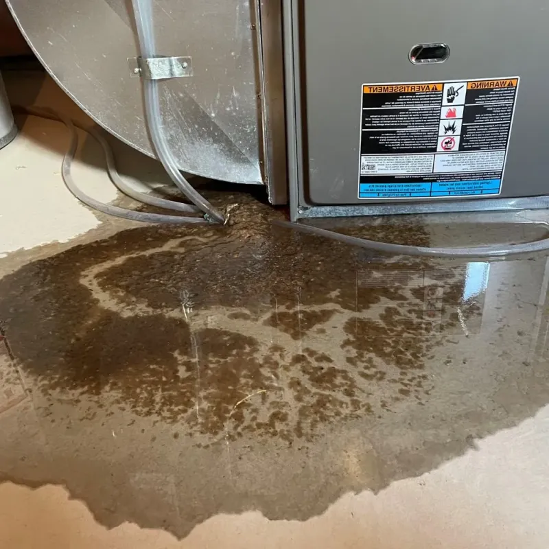 Pipe Burst and Leak Restoration in Niwot, CO
